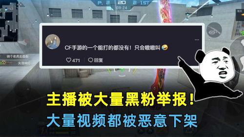 黑粉爆料主播视频大全集,主播视频大全集深度解析  第3张