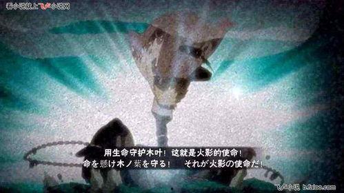 水门最新爆料事件视频,揭秘最新爆料视频背后的惊人真相  第3张